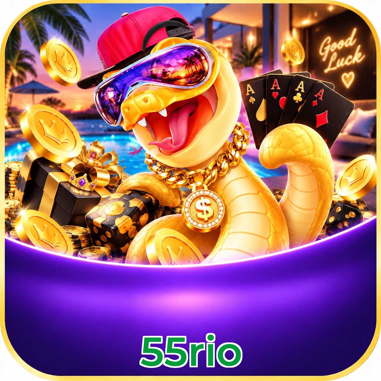 55rio Logo